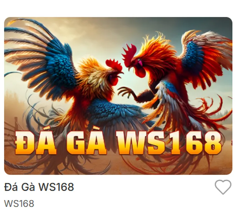 Trải Nghiệm Đỉnh Cao Đá Gà WS168 Tại Bin88 Siêu Lợi Nhuận